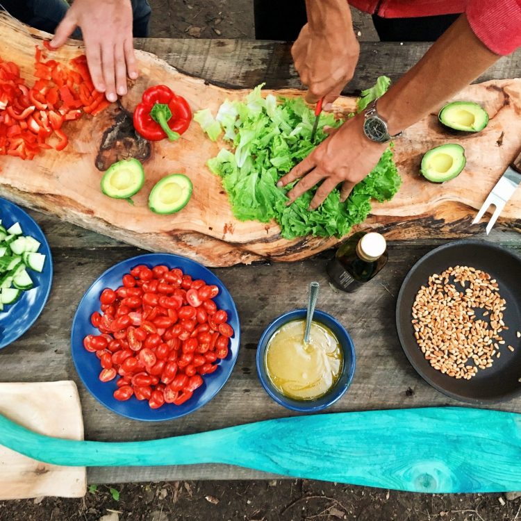 4. TRANSICIÓN ALIMENTACION VEG.